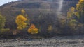 Autumn leaves on the trees on the hillside
