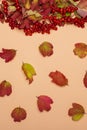 Autumn leaves and twigs with red viburnum berries on a beige background