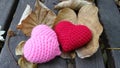 Autumn leaves and valentine hearts Royalty Free Stock Photo