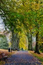 Autumn Leaves Valley Gardens Harrogate Royalty Free Stock Photo