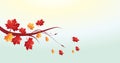 Autumn leaves vector