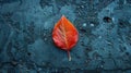 Autumn Leaves: Vibrant Red and Orange Maple Leaves on the Ground Royalty Free Stock Photo
