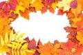 Autumn leaves vignette. Royalty Free Stock Photo