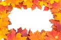 Autumn leaves vignette. Royalty Free Stock Photo
