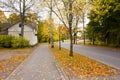 Autumn leaves on walkway in old museum district of Kouvola, Finland