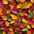 81 Autumn Leaves: A warm and cozy background featuring autumn leaves in rich and vibrant colors that create a nostalgic and comf