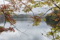 Autumn Leaves on Waterbury Lake Royalty Free Stock Photo