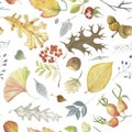 Autumn leaves watercolor seamless pattern with oak, rose hip, Rowanberry, ash, acorn, wild ash, ginkgo, abstract herbs