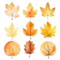 Autumn Leaves Watercolor Vector Illustration Set Royalty Free Stock Photo