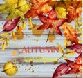 Autumn leaves watercolor Vector. Wooden decor background. Fall banner template. Golden red color Royalty Free Stock Photo