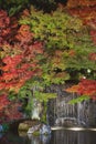 Autumn leaves and waterfall of Japanese garden at night. Royalty Free Stock Photo