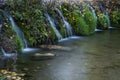 Autumn leaves in Watermill, river Vinalopo