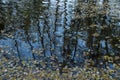 Autumn leaves in Watermill, river Vinalopo