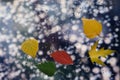 Autumn leaves on wet glass in rainy weather Royalty Free Stock Photo