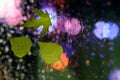 Autumn leaves on wet glass in rainy weather Royalty Free Stock Photo