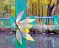 The autumn leaves which have stuck to a wooden handrail. Royalty Free Stock Photo