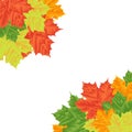 Autumn Leaves on a white background. Isolated. Vector illustration. Eps 10. Royalty Free Stock Photo