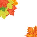 Autumn Leaves on a white background. Isolated. Vector illustration. Eps 10. Royalty Free Stock Photo