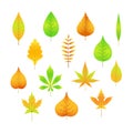 autumn leaves on a white isolated background cartoon style in EPS 10 Royalty Free Stock Photo