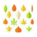 autumn leaves on a white isolated background cartoon style in EPS 10 Royalty Free Stock Photo