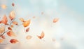 Autumn leaves of wild grape ivy,maple leaf with soft white blurred background. Autumnal nature frame from vivid wet Royalty Free Stock Photo