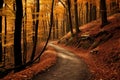 Autumn leaves on a winding forest trail Royalty Free Stock Photo