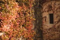 Autumn leaves and window castle, Olite, Spain Royalty Free Stock Photo