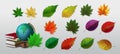 autumn leaves, wonderful elements to your design. Falling poplar, beech or elm and aspen autumn leaves for seasonal Royalty Free Stock Photo