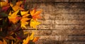Autumn leaves on wooden background with copy space