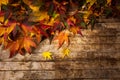 Autumn leaves on wooden background with copy space