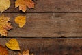 Autumn leaves on wooden background with copy space. Wallpaper for September 1.