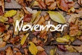 Autumn Leaves on Wooden Background. November Concept Wallpaper.