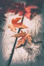 Autumn leaves on wooden table. Beautiful colorful red, yellow, orange maple leaves on wood cracked texture. Vertical photo Royalty Free Stock Photo