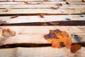 Autumn leaves on a wooden walkway
