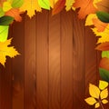 Autumn leaves on a wooden wall