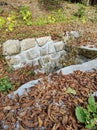 autumn leaves in the woods old ruin sky Royalty Free Stock Photo