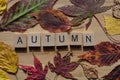 Autumn leaves and word, creative concept, changing seasons Royalty Free Stock Photo