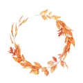 Autumn leaves wreath isolated on white background Royalty Free Stock Photo