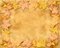 Autumn leaves yellow frame over old paper Royalty Free Stock Photo