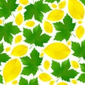 Autumn leaves of yellow and green. Falling leaves on a white background.