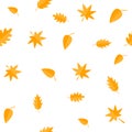 Autumn leaves. Yellow orange leaf set. Oak, maple, birch, rowan. Seamless Pattern Wrapping paper, textile template. White backgrou Royalty Free Stock Photo