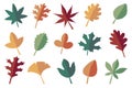 Autumn leaves. Yellow red and green leaf, fall deciduous season, bright flora icons, foliage of maple oak and chestnut Royalty Free Stock Photo