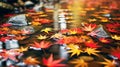 autumn leavs with rain drops Royalty Free Stock Photo