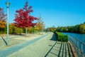Autumn leisure - walk in the park