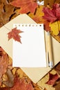 Autumn letter. Blank paper with envelope and bamboo pen over fallen leaves Royalty Free Stock Photo