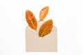 Autumn letter - an envelope and autumn leaf on white