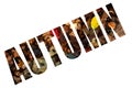 Autumn lettering isolated on white background letters filled with colorful leaves Royalty Free Stock Photo