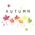 Autumn. Lettering with motley leaves. Watercolor imitation. Royalty Free Stock Photo