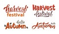 Autumn lettering sign set. Hello autumn and Harvest Festival Royalty Free Stock Photo