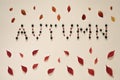 Autumn letters with berries and frame made of colorful leaves on beige background.